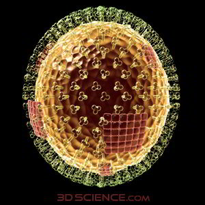 virus-influenza